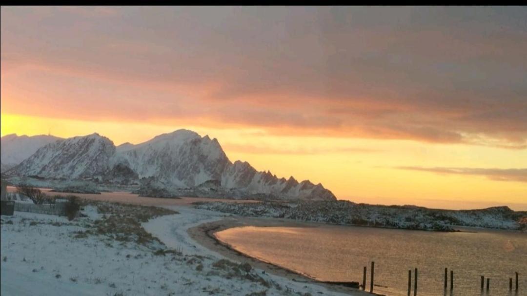 Sentral Strandleilighet med Hvalsenter Andenes Exterior photo